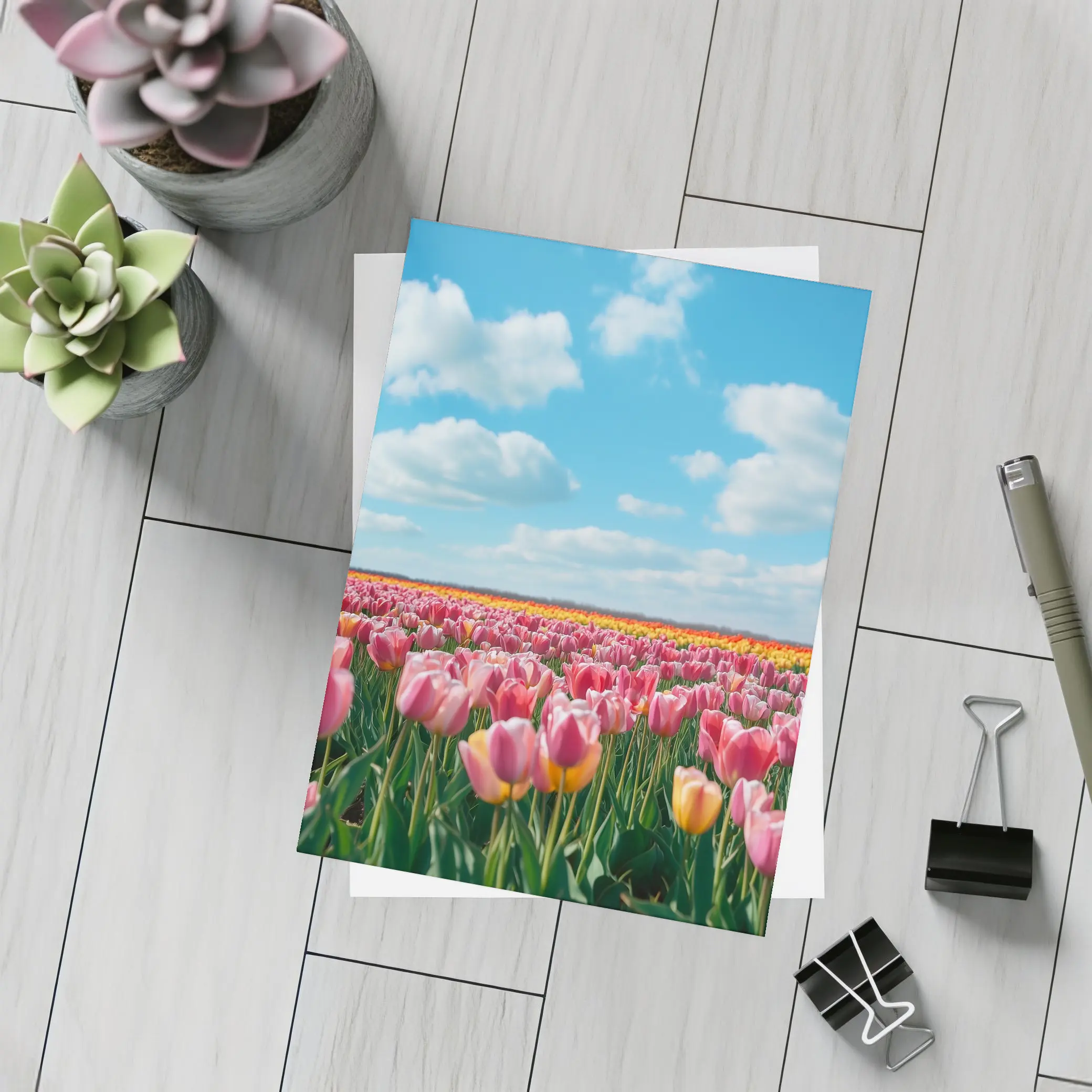 Pink Tulip Field Blue Sky Clouds – Postcards
