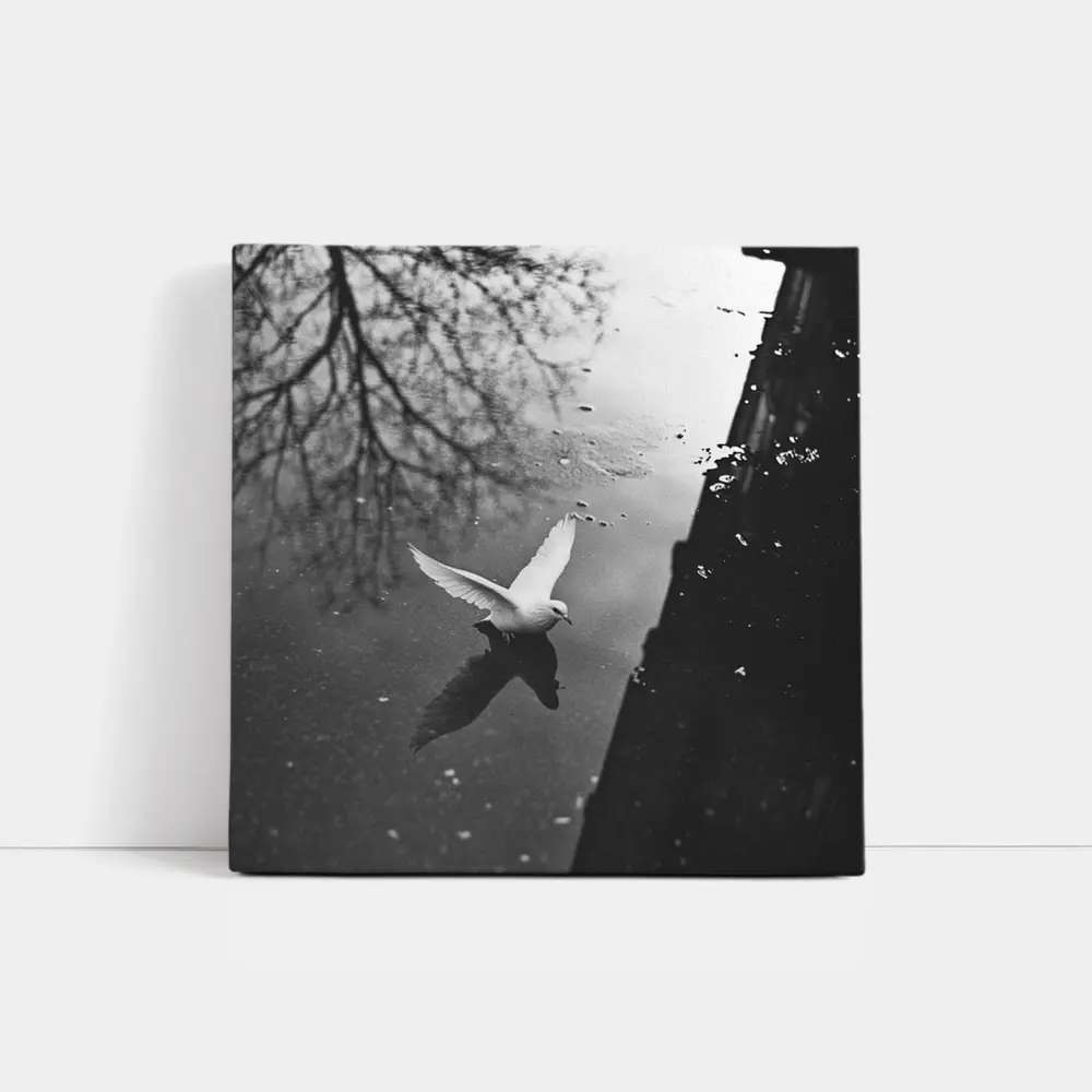 White Dove Flying Over Dark Water – Wall Art