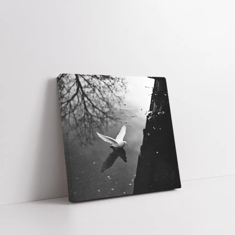 White Dove Flying Over Dark Water – Wall Art