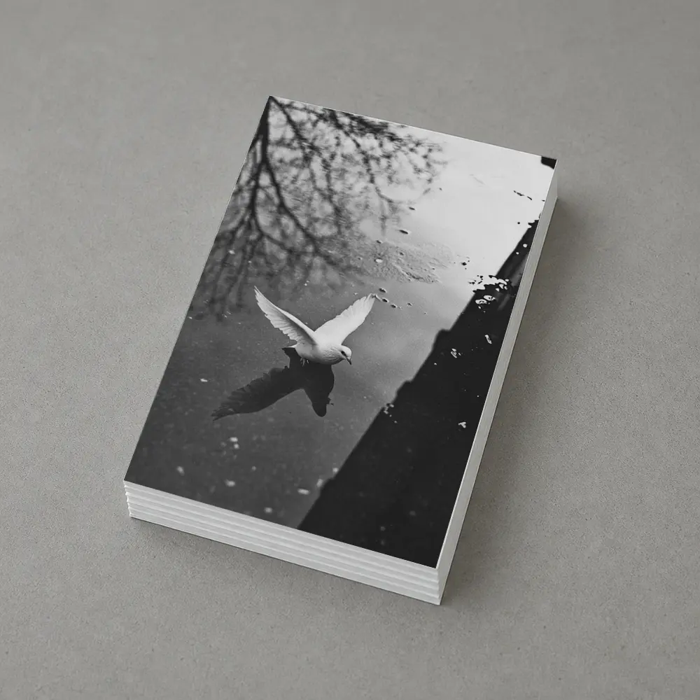 White Dove Flying Over Dark Water – Postcards