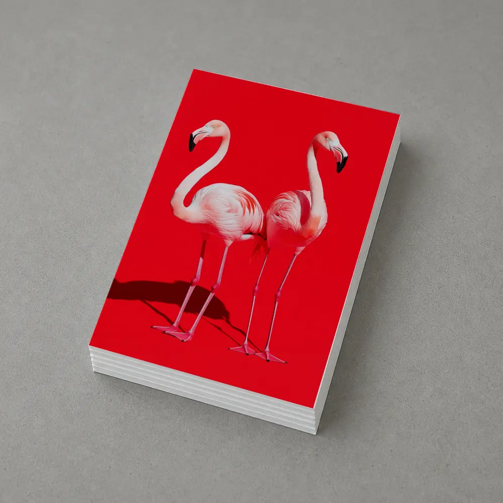 Two Pink Flamingos On Red Background – Postcards