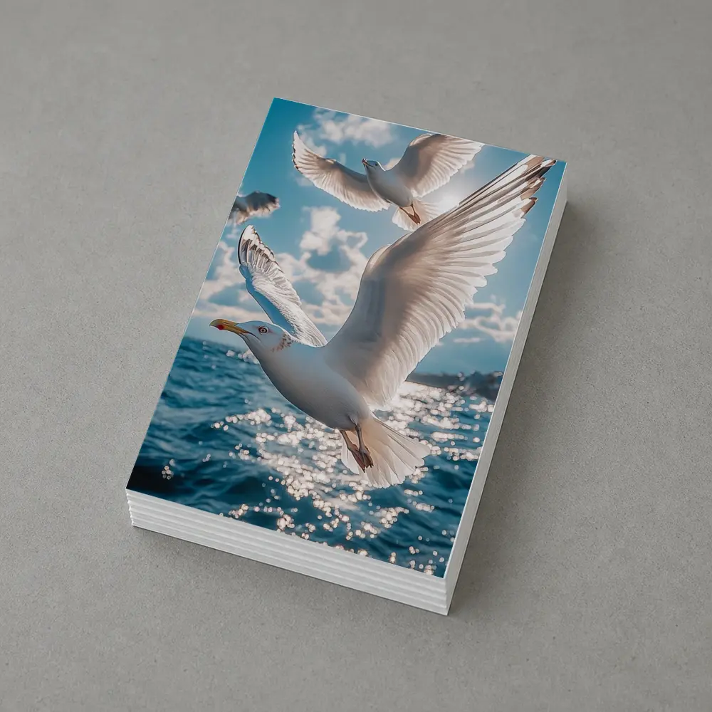 Seagulls Flying Over Sparkling Blue Ocean – Postcards