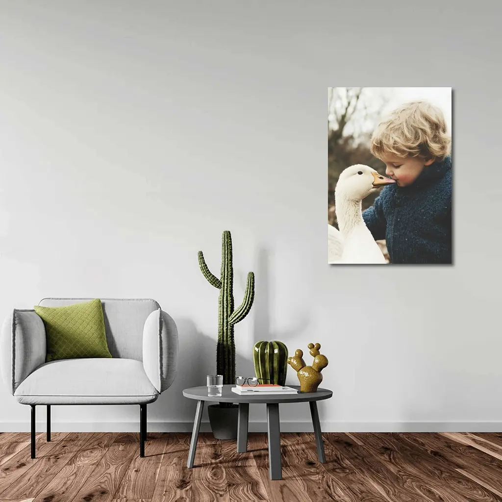 Child Kissing White Goose Outdoors – Wall Art