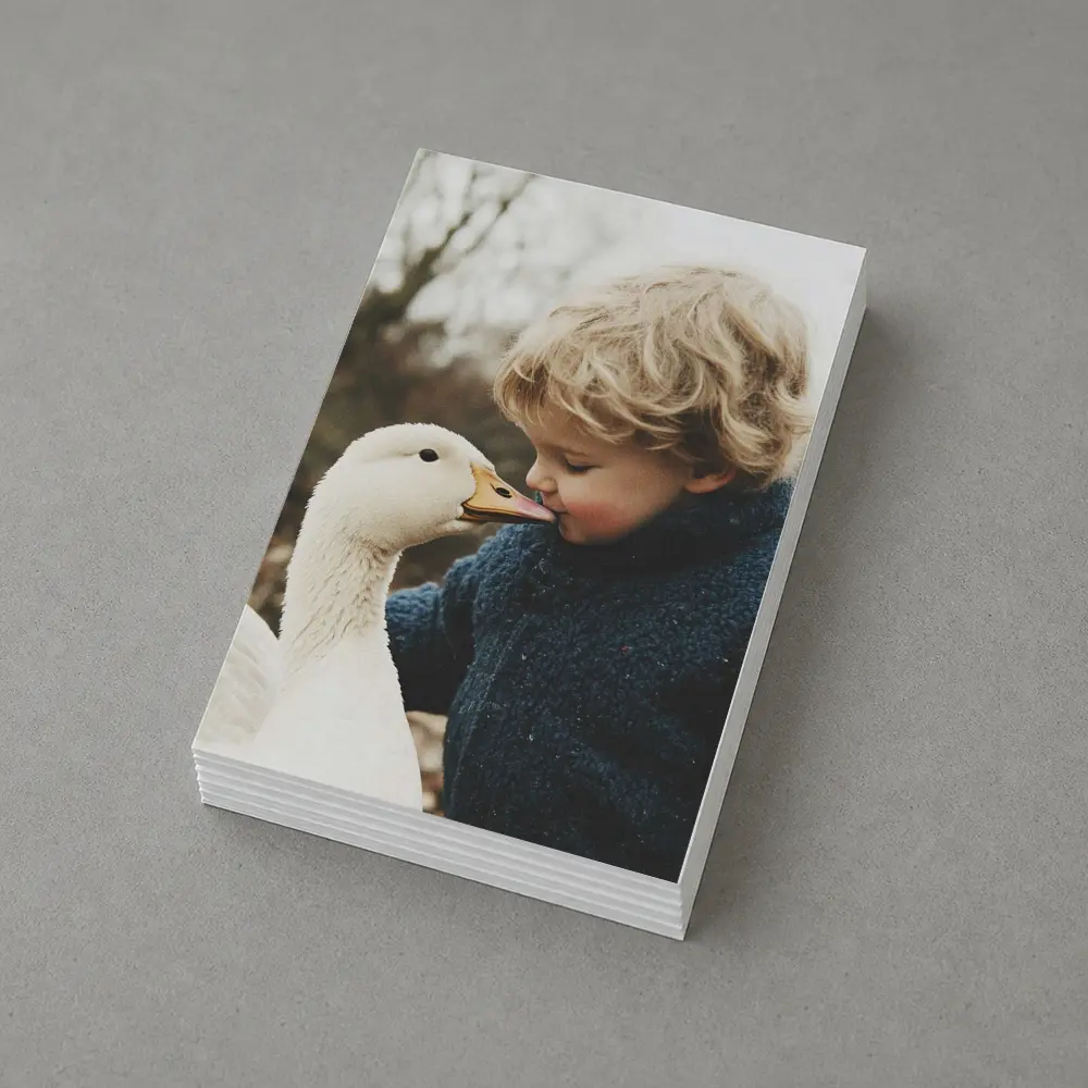 Child Kissing White Goose Outdoors – Postcards
