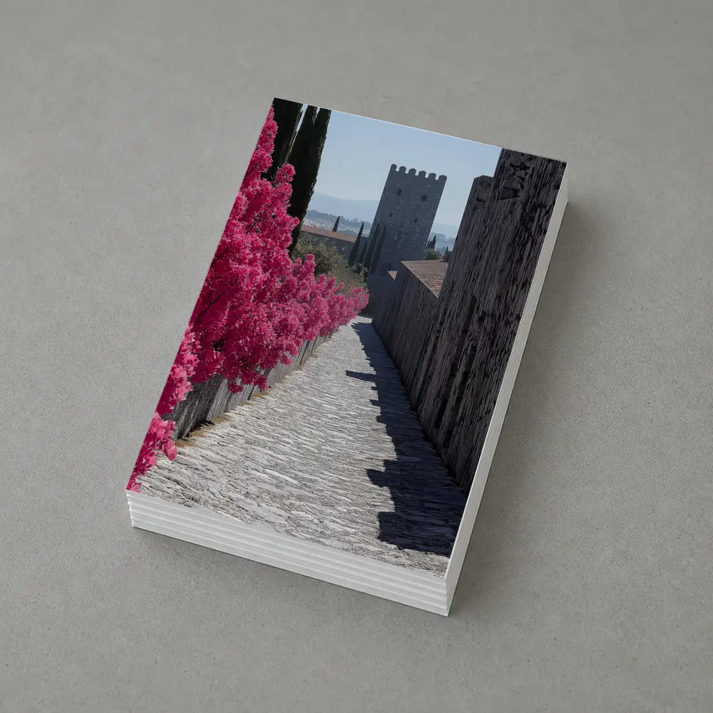 Medieval Castle Tower Pink Bougainvillea Pathway – Postcards