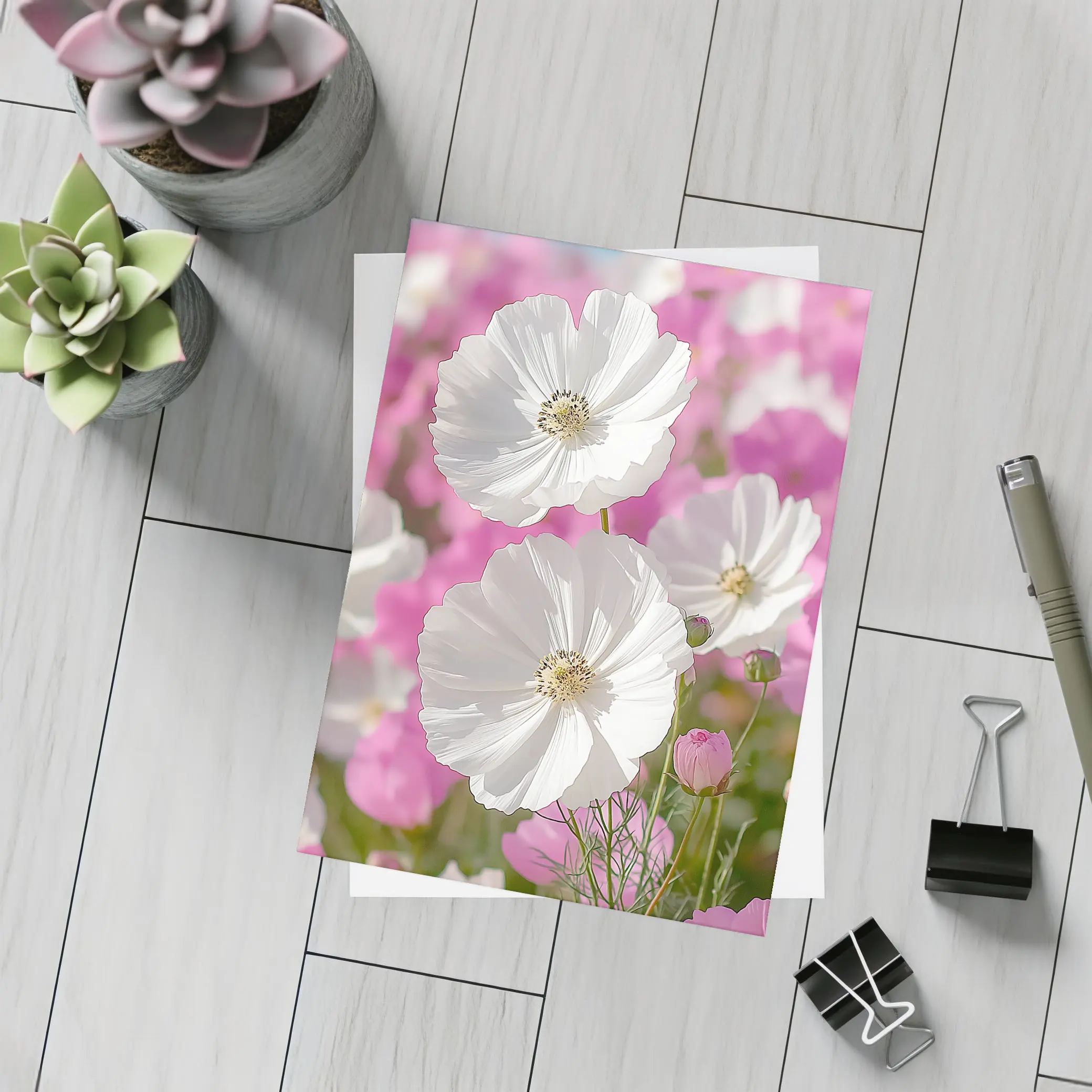 White Cosmos Flowers Pink Field Blue Sky – Postcards