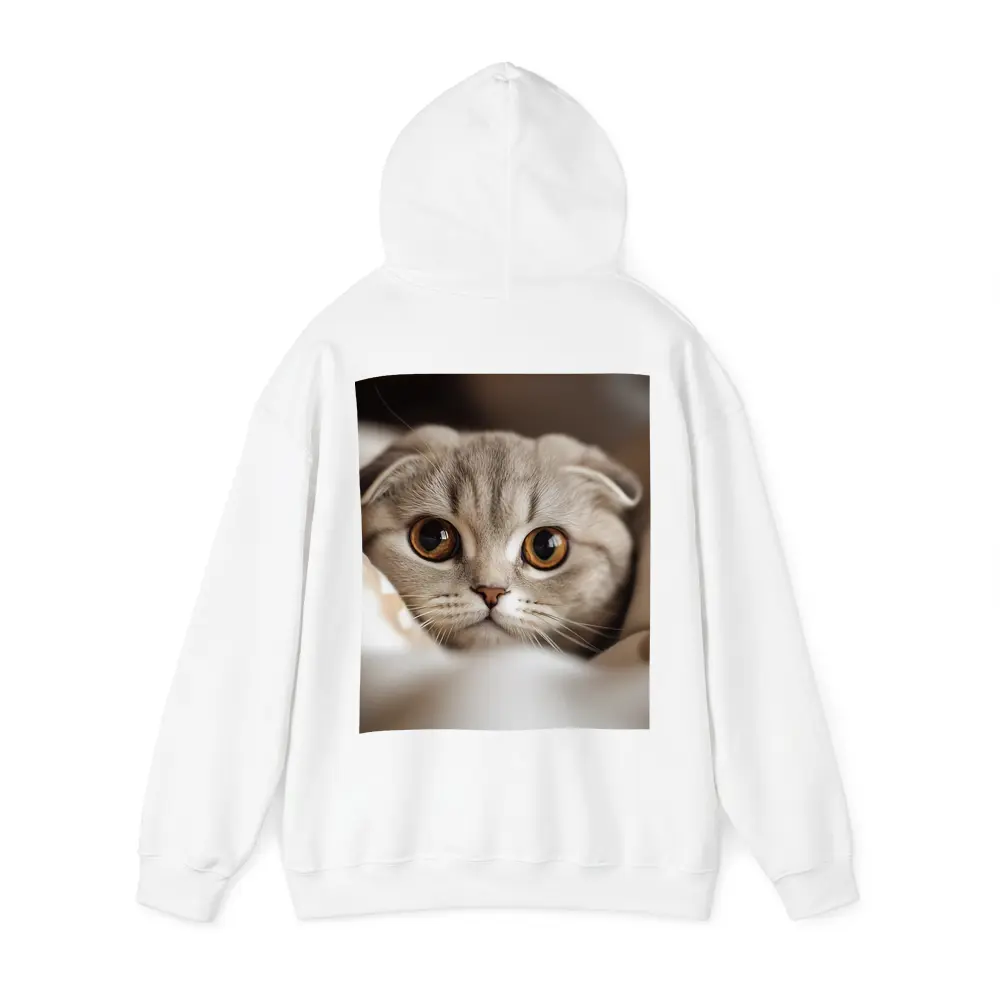 Scottish Fold Cat Close Up Soft Background – Hoodies