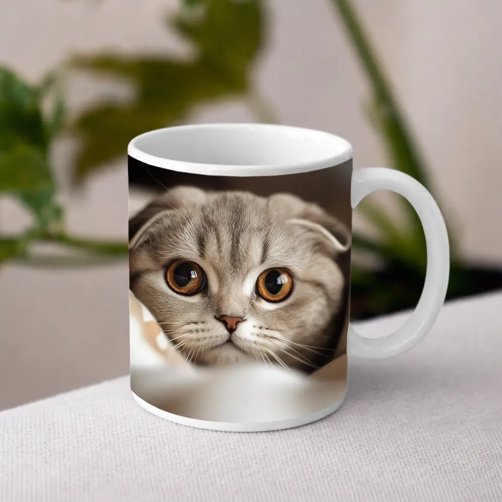 Scottish Fold Cat Close Up Soft Background – Mugs