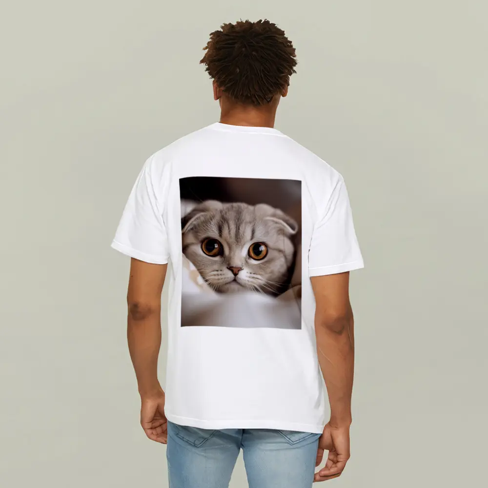 Scottish Fold Cat Close Up Soft Background – T-Shirts