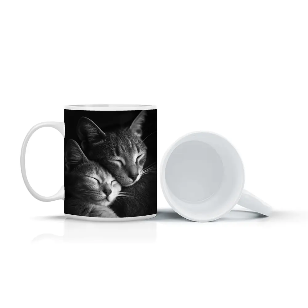Two Cats Sleeping Together Black Background – Mugs
