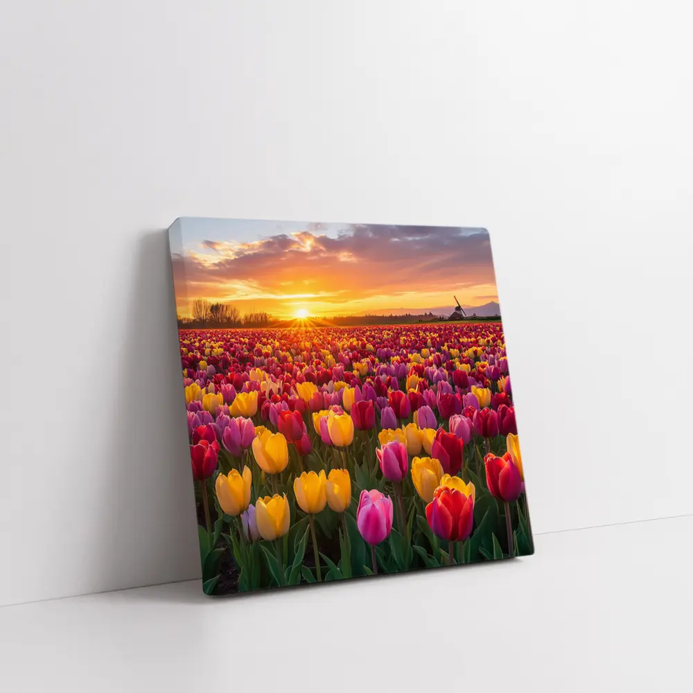 Tulip Field Sunset Windmill Dutch Countryside – Wall Art