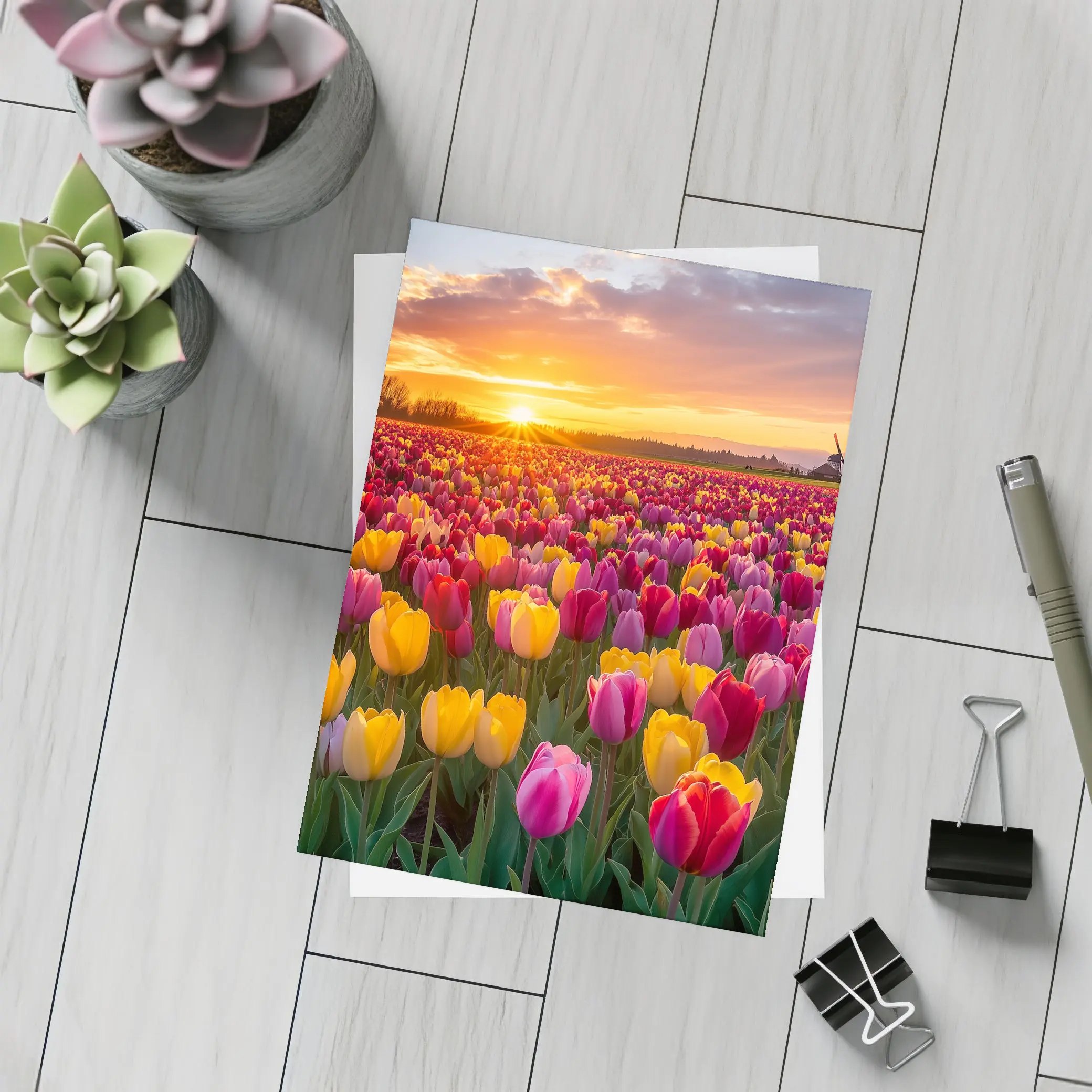 Tulip Field Sunset Windmill Dutch Countryside – Postcards
