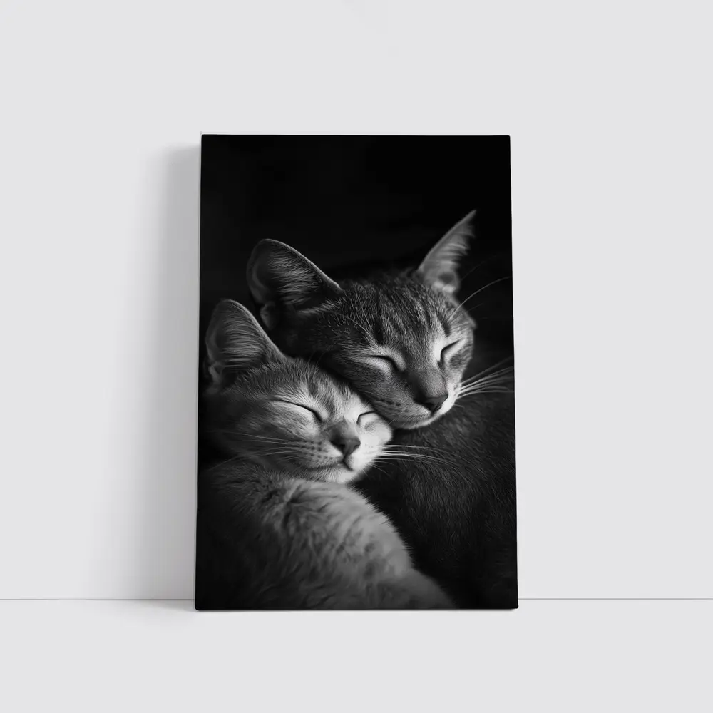 Two Cats Sleeping Together Black Background – Wall Art