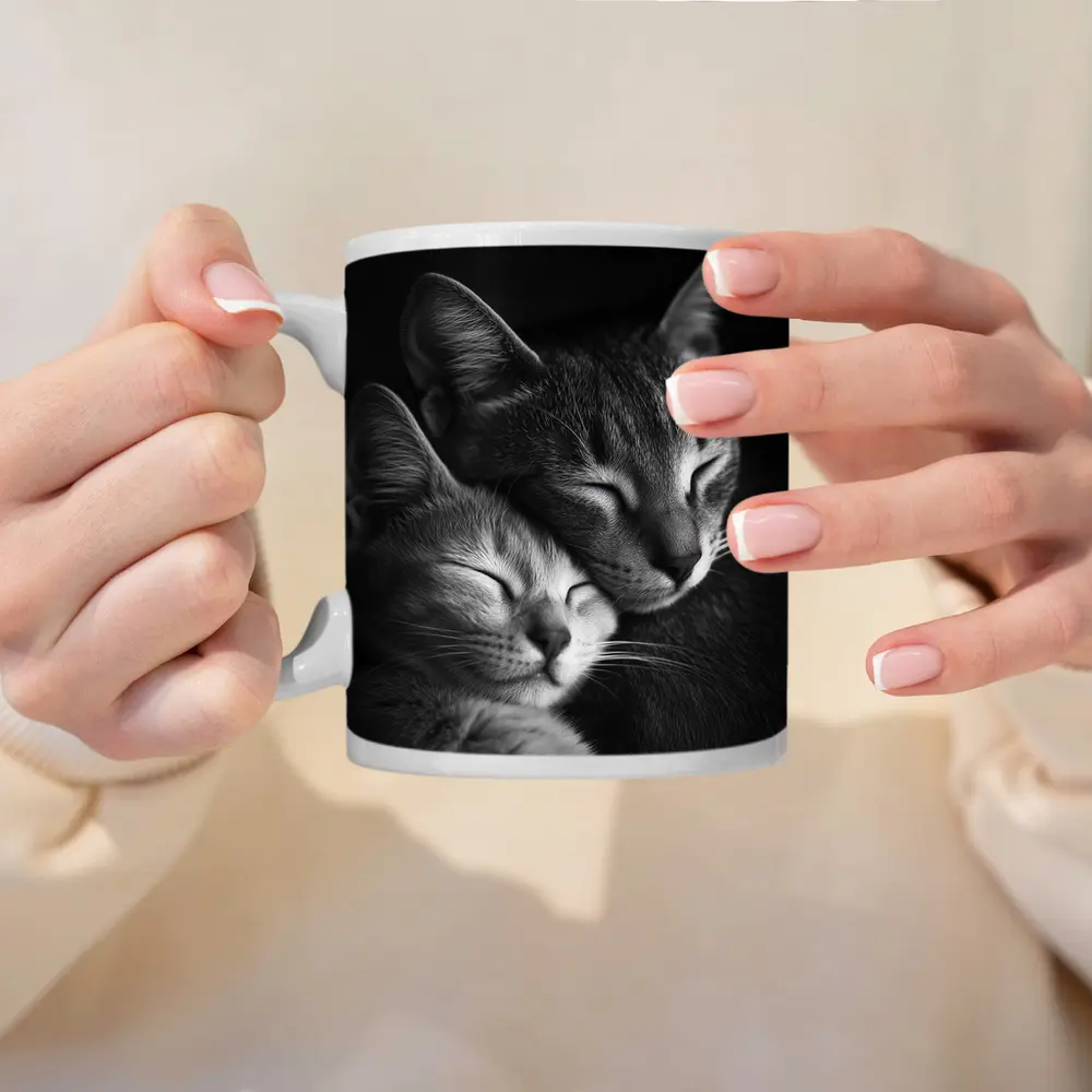 Two Cats Sleeping Together Black Background – Mugs