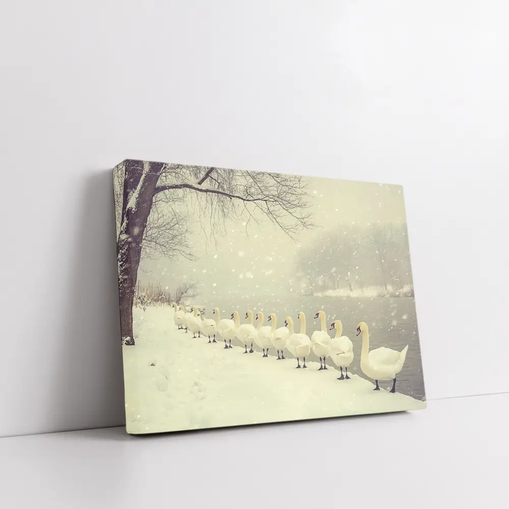 White Swans Walking In Snowy Winter Landscape – Wall Art