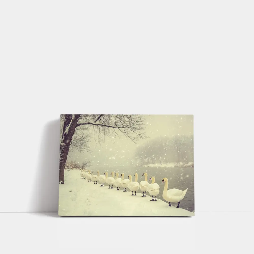 White Swans Walking In Snowy Winter Landscape – Wall Art