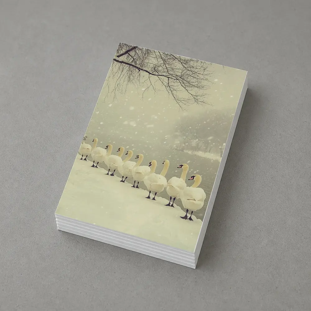 White Swans Walking In Snowy Winter Landscape – Postcards