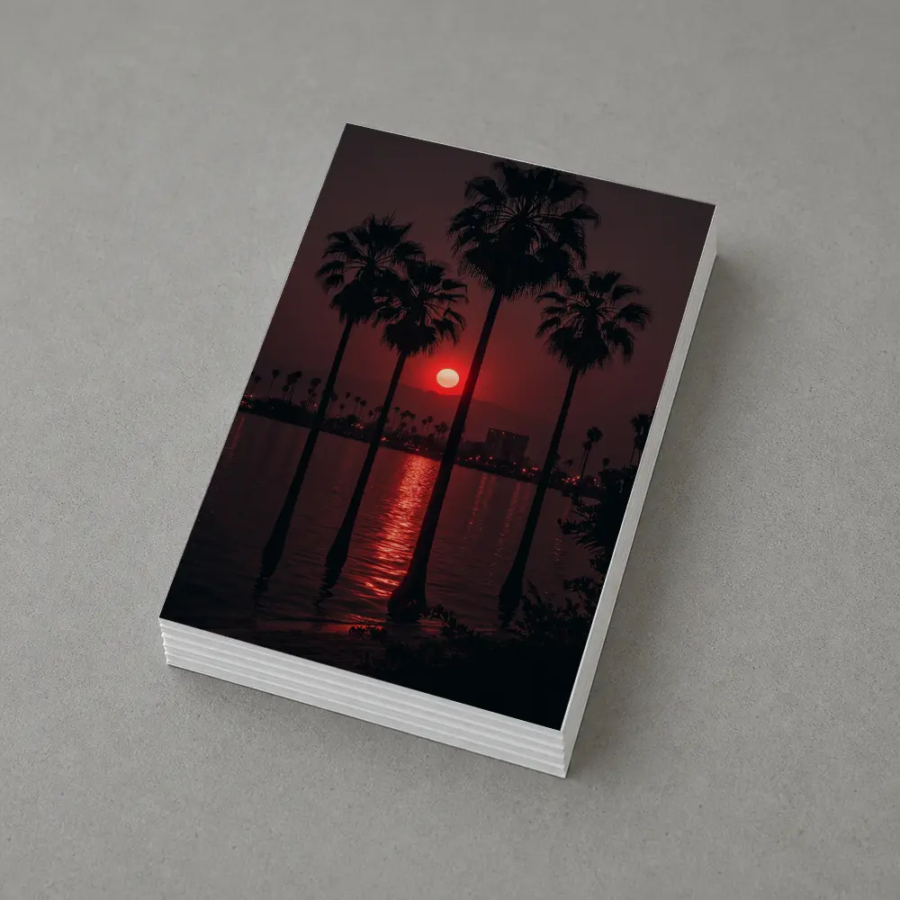 Red Sunset Palm Trees Coastal City View – Postcards