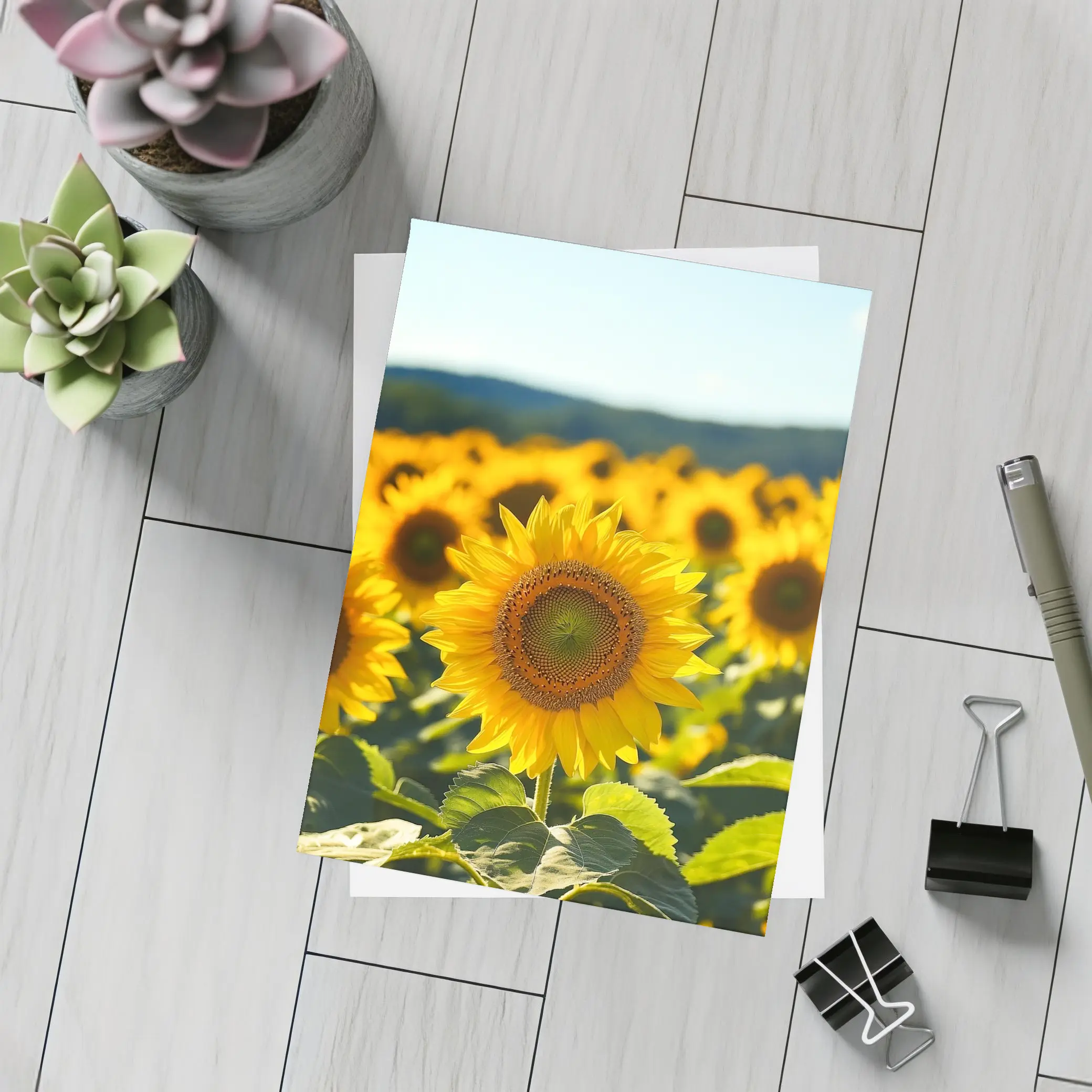 Sunflower Field Blue Sky Summer Day – Postcards