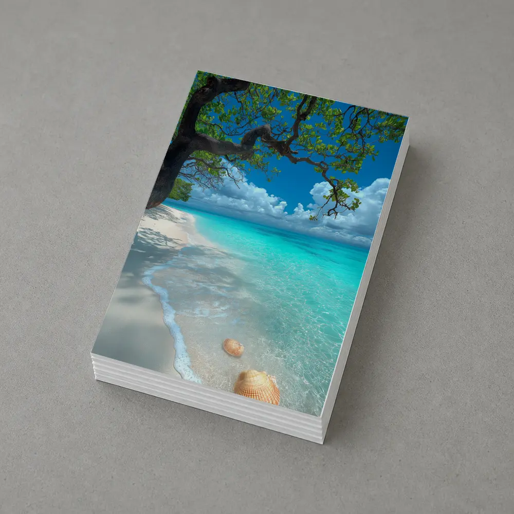 Tropical Beach Seashells Clear Turquoise Water Tree – Postcards