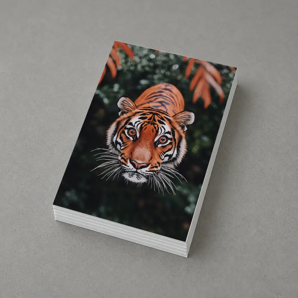 Bengal Tiger Face Green Jungle Foliage – Postcards