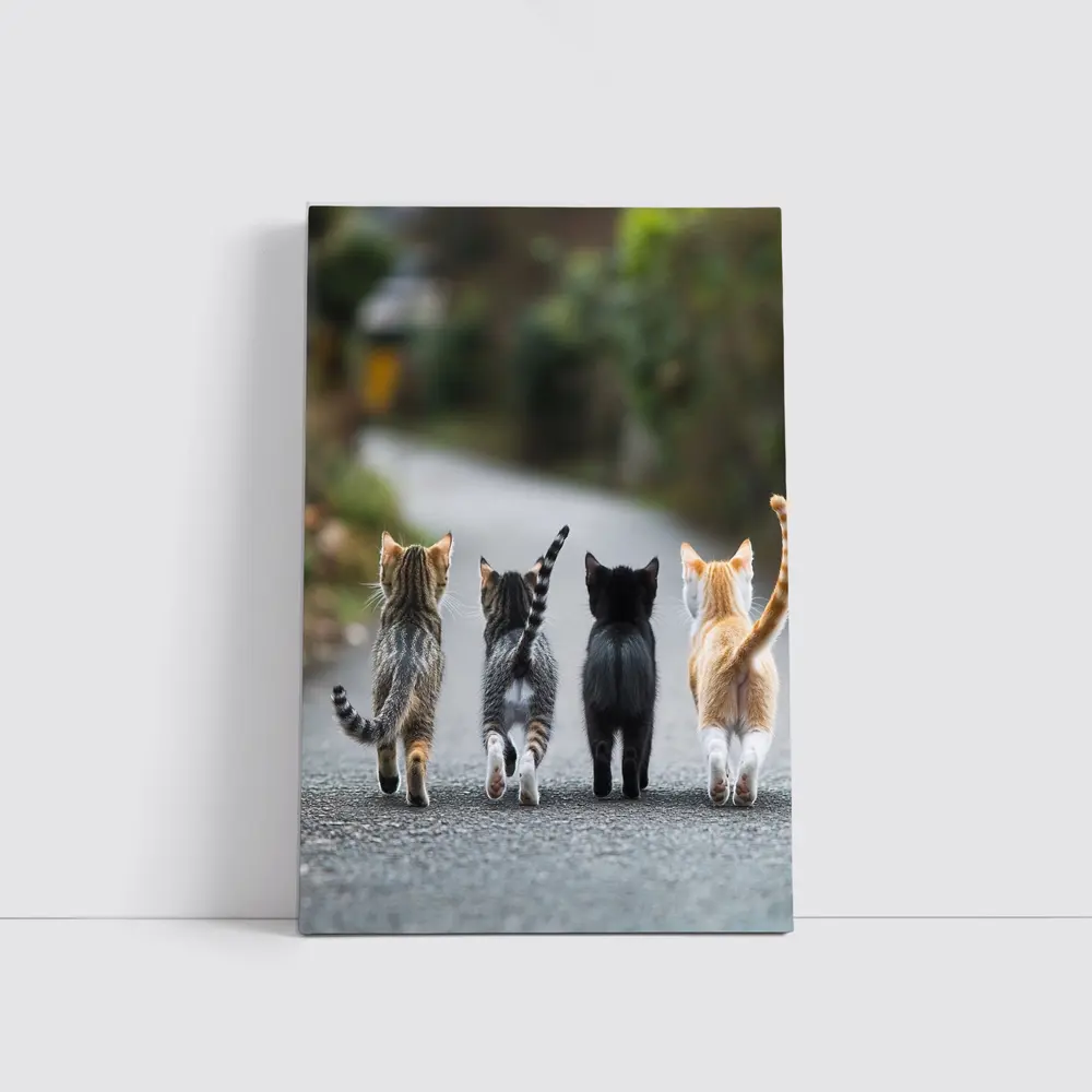 Four Kittens Walking Down Street Together – Wall Art