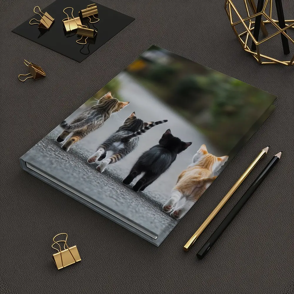 Four Kittens Walking Down Street Together – Notebooks