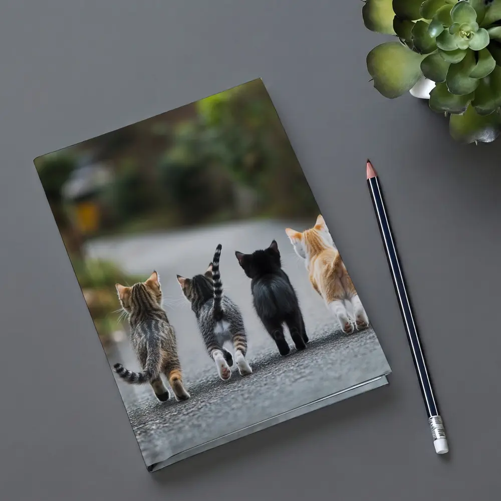 Four Kittens Walking Down Street Together – Notebooks