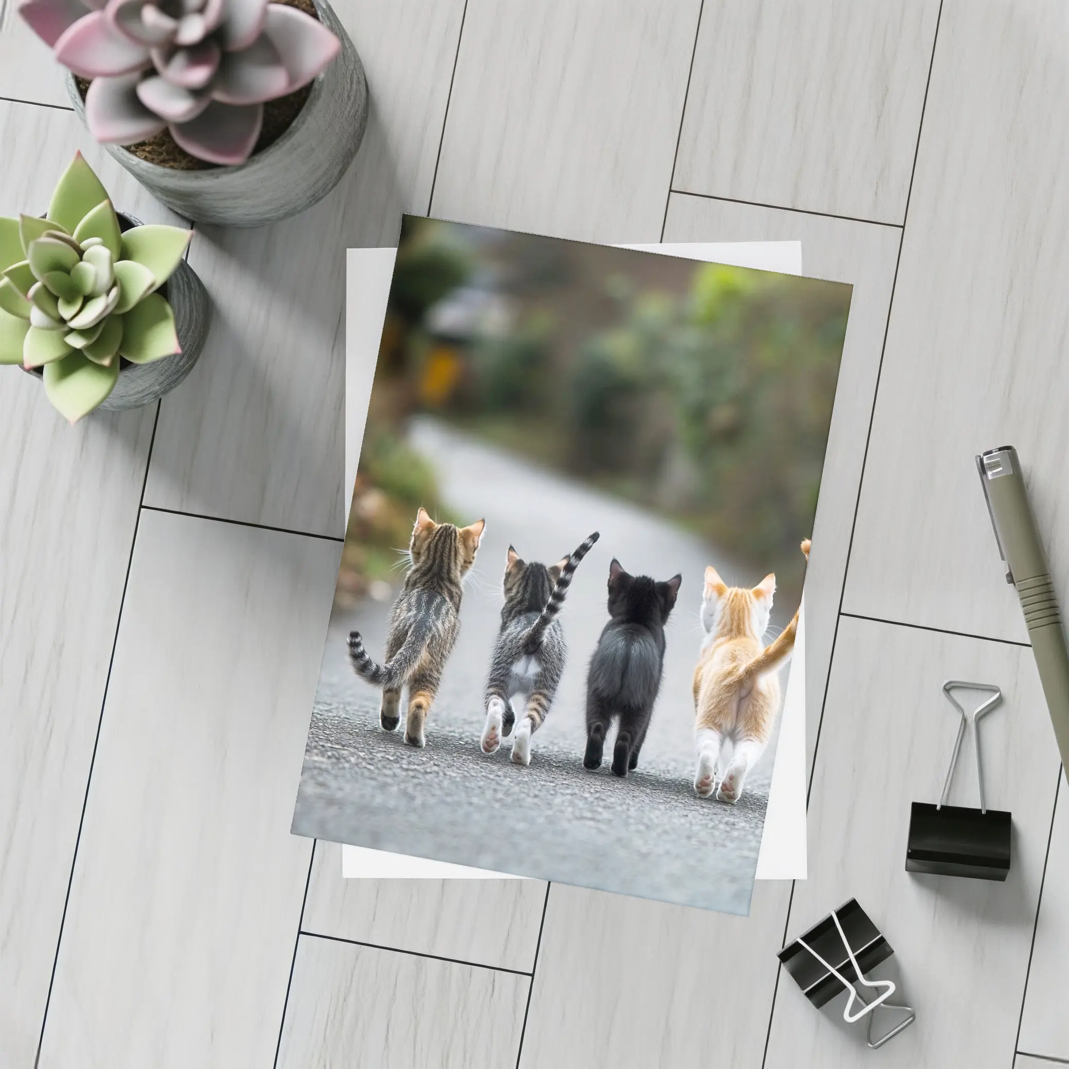 Four Kittens Walking Down Street Together – Postcards