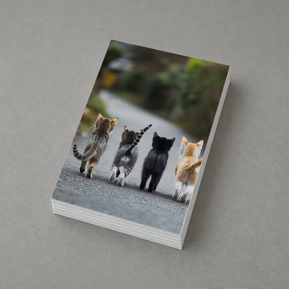 Four Kittens Walking Down Street Together – Postcards