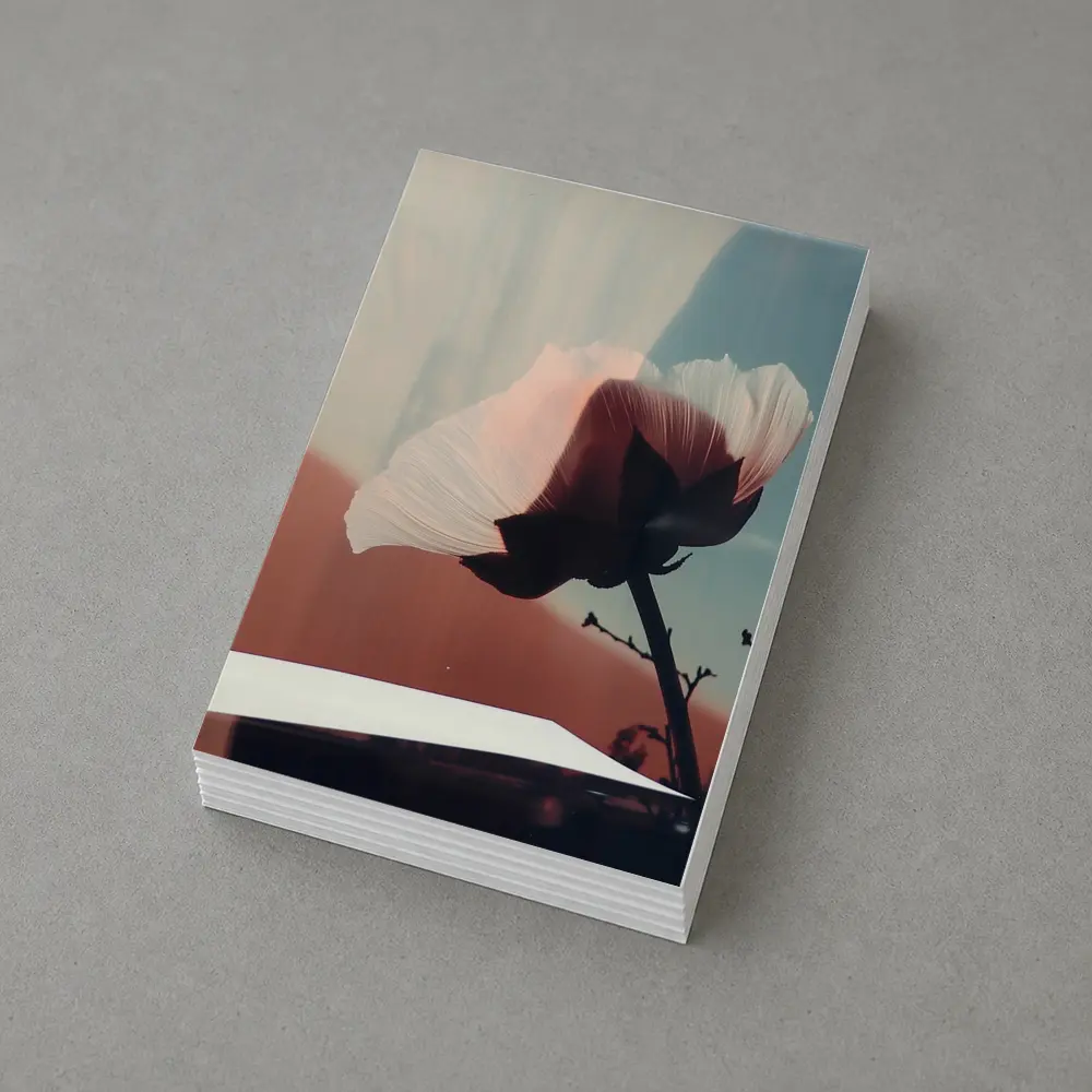 Poppy Flower Soft Blue Sky Background – Postcards