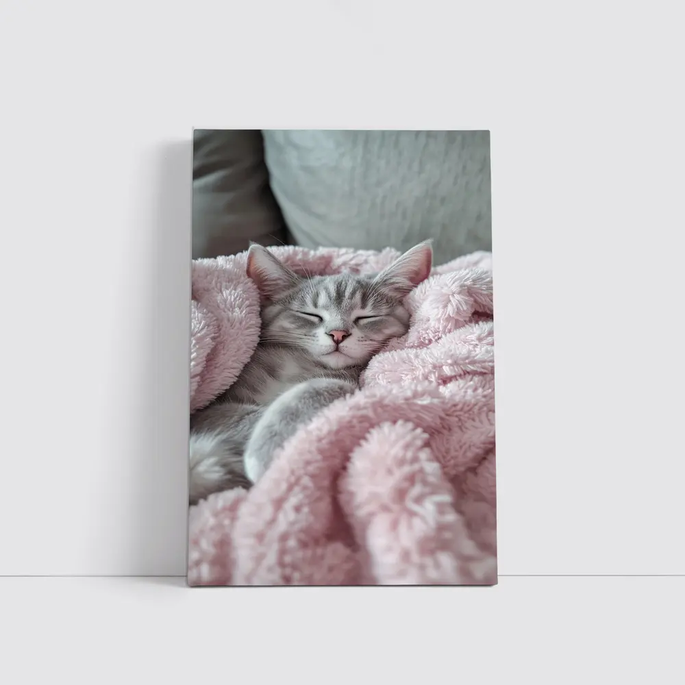 Sleeping Gray Kitten Wrapped Pink Fluffy Blanket – Wall Art