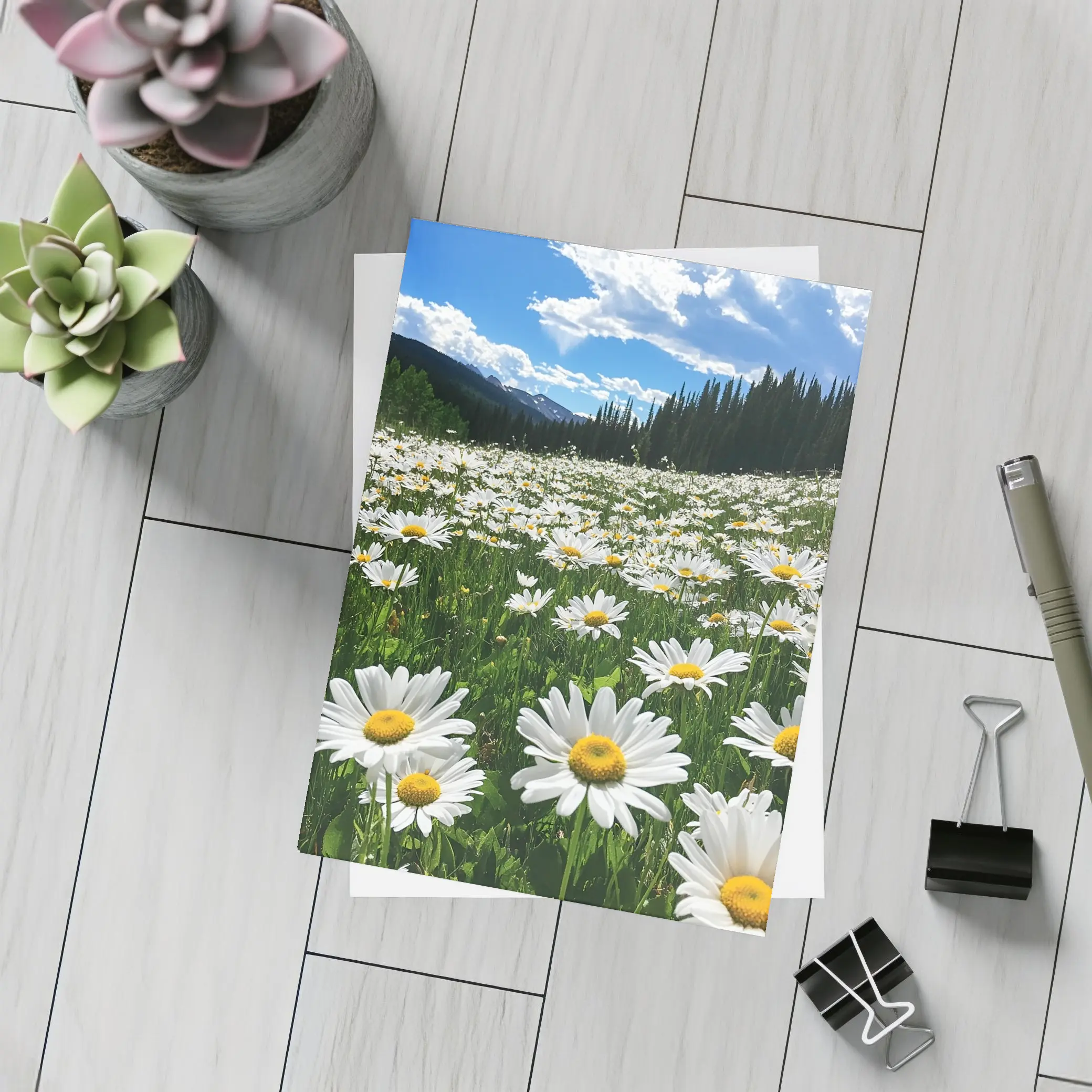 White Daisies Field Mountain Forest Sky – Postcards