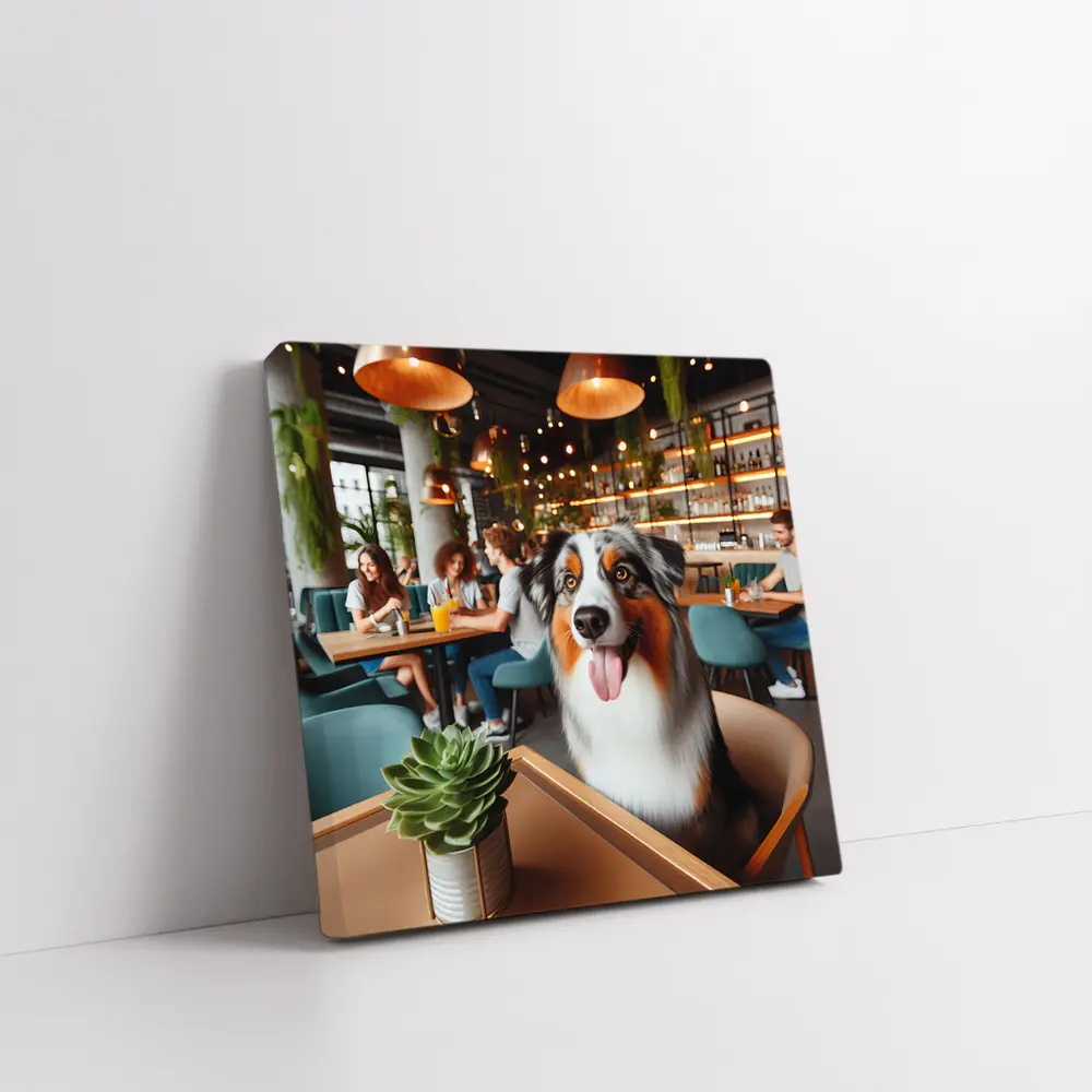 Australian Shepherd Dog Sitting in Cafe – Wall Art