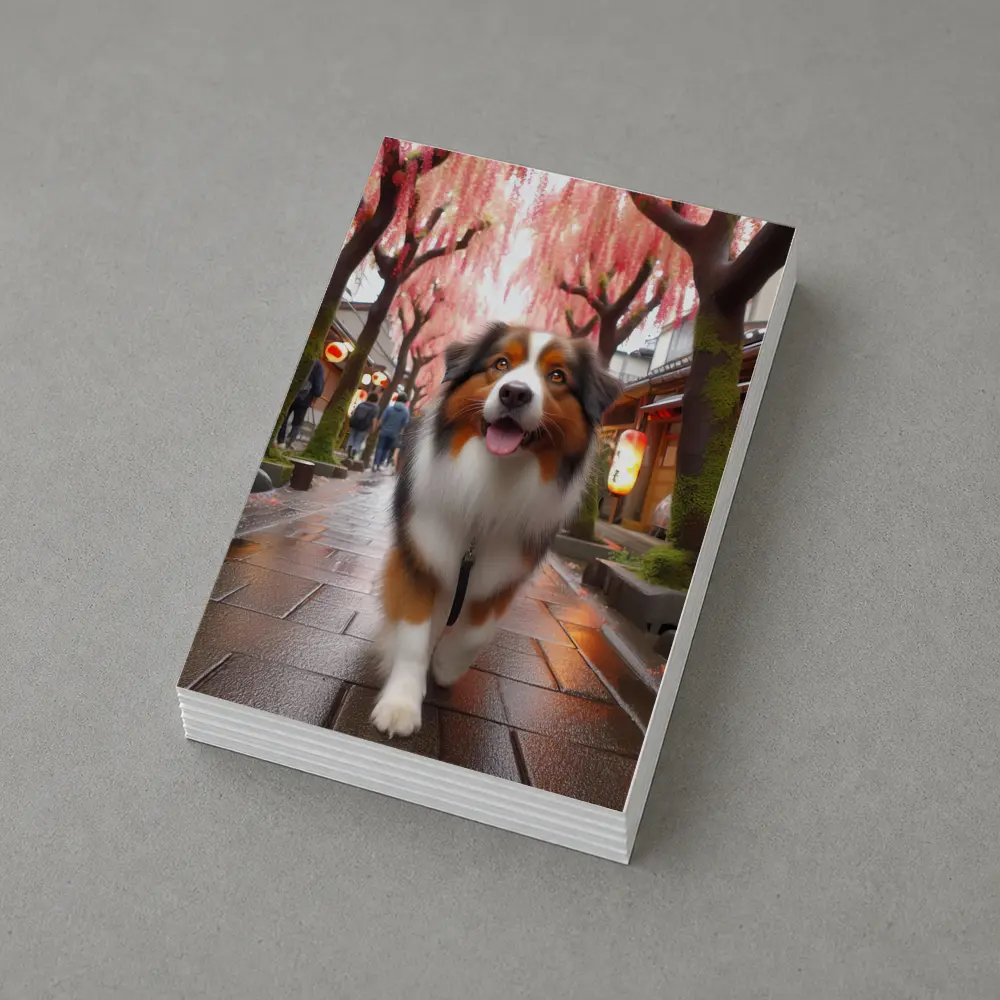 Australian Shepherd Walking Japanese Street Cherry Blossoms – Postcards
