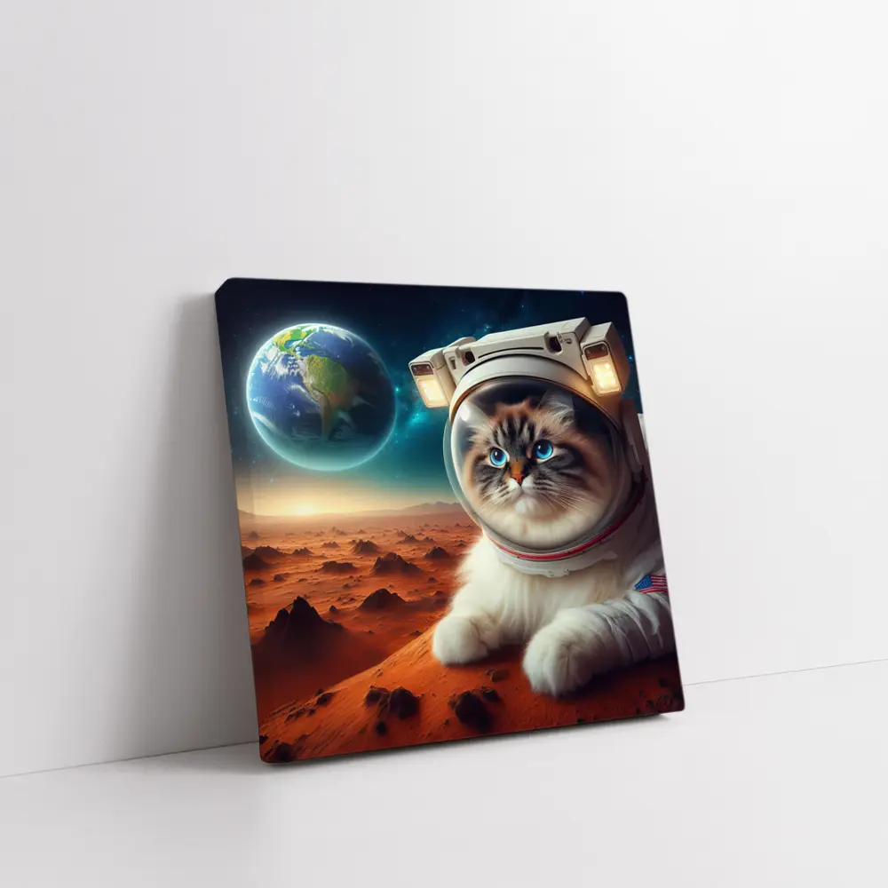 Ragdoll Cat Astronaut on Mars Surface – Wall Art