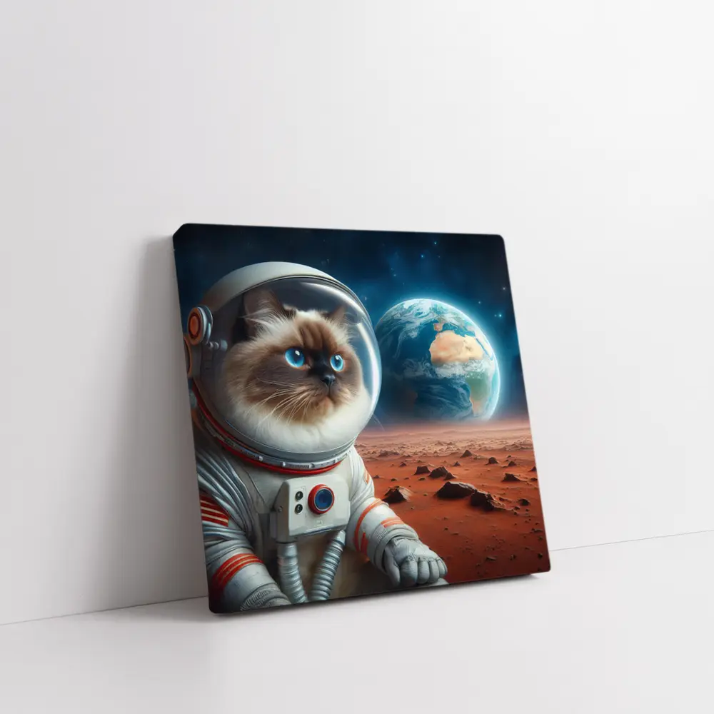 Ragdoll Cat Astronaut On Mars Surface – Wall Art