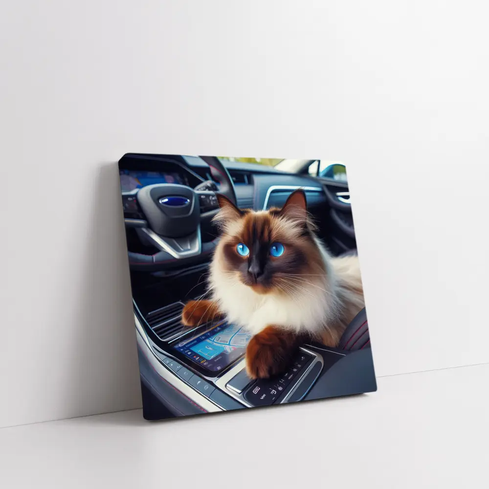 Birman Cat Sitting Inside Car Interior – Wall Art