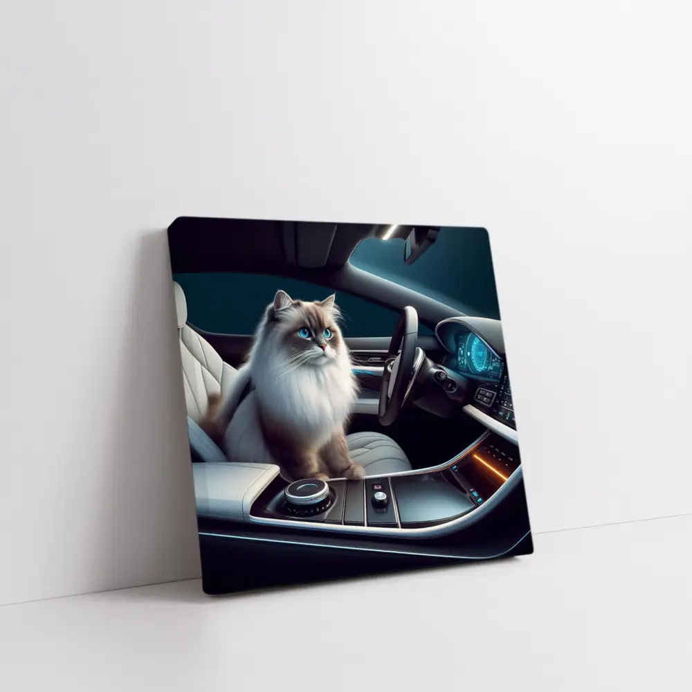 Ragdoll Cat Inside Luxury Car Interior – Wall Art