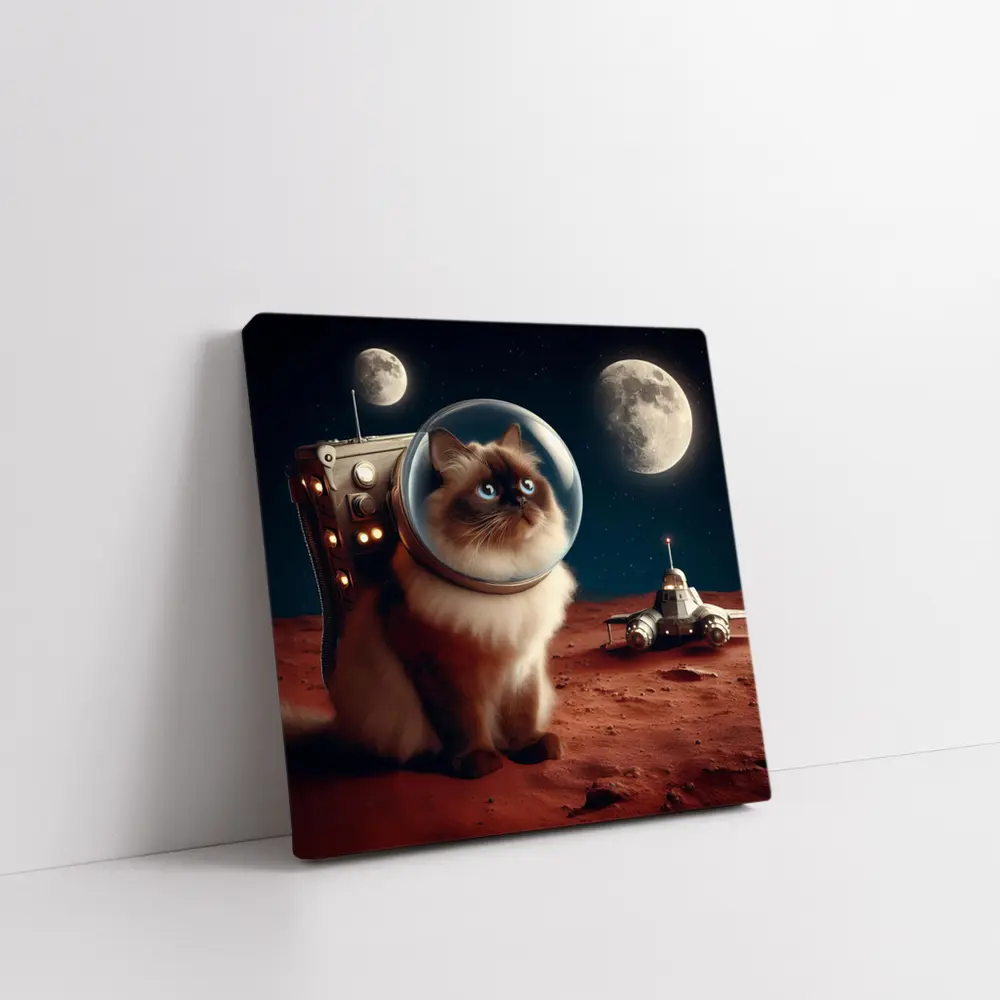 Himalayan Cat Astronaut Space Moon Surface – Wall Art