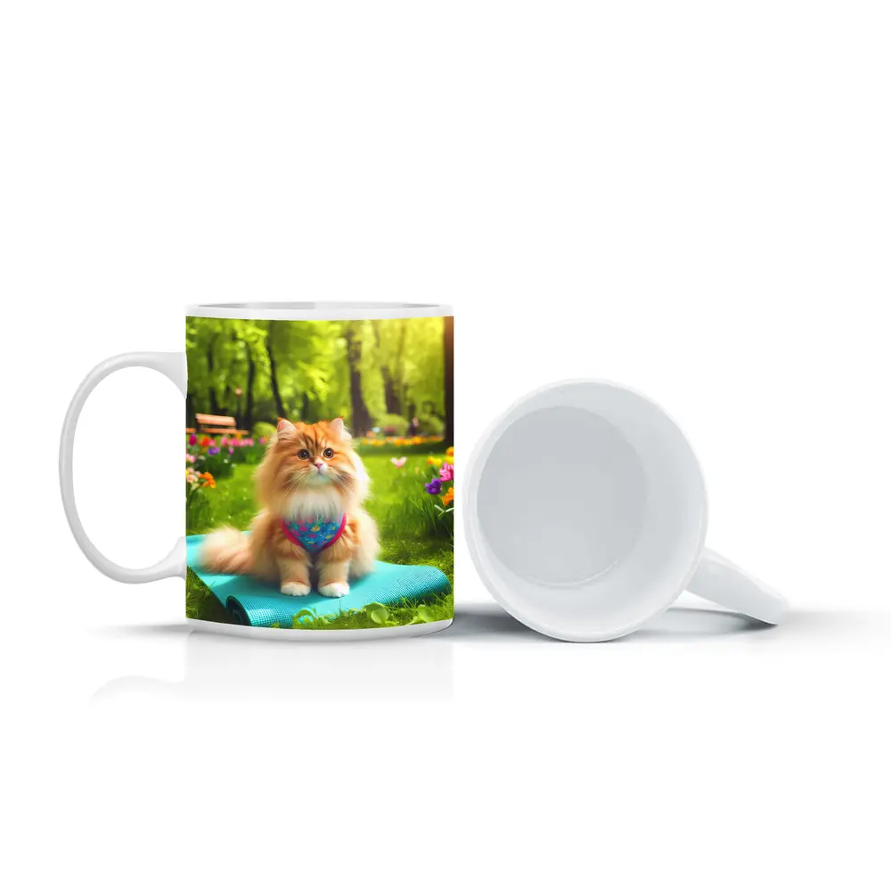 Fluffy Orange Cat on Yoga Mat Park – Mugs