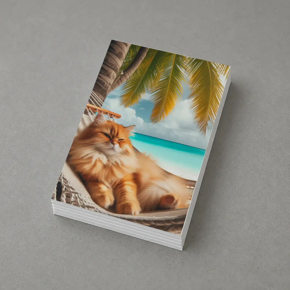 Orange Long Hair Cat Relaxing Tropical Beach – Postcards