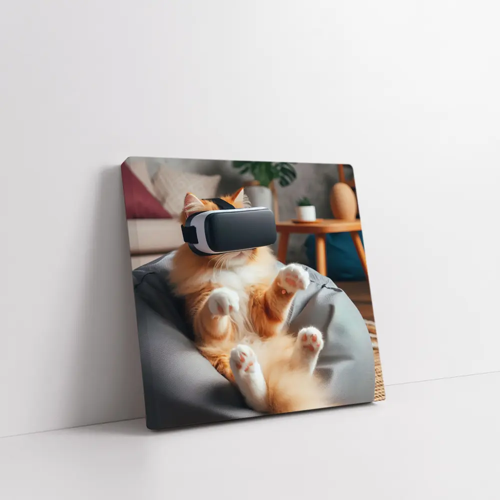 Orange Cat VR Headset Bean Bag – Wall Art