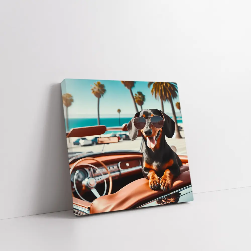 Dachshund Wearing Sunglasses in Convertible Car – Wall Art