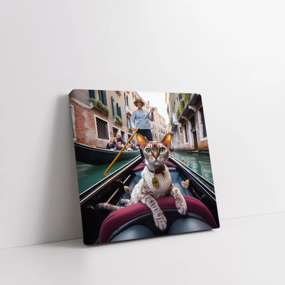 Devon Rex Cat Riding Venice Gondola – Wall Art