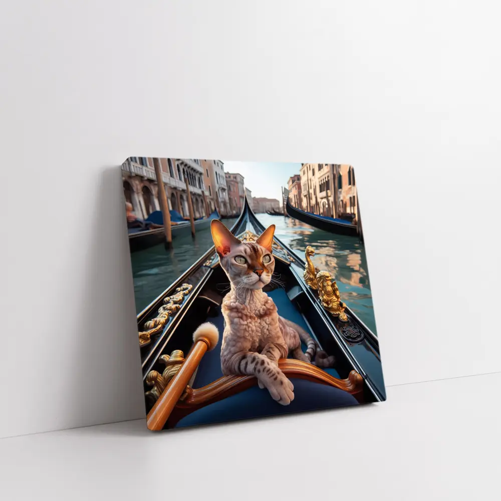 Devon Rex Cat Riding Venice Gondola Canal – Wall Art