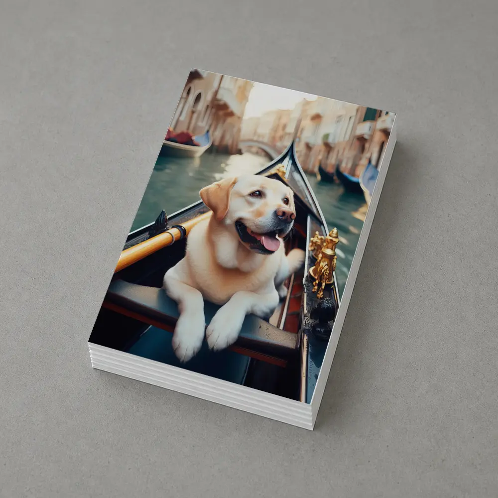 Labrador Retriever Riding Gondola Venice Canal – Postcards