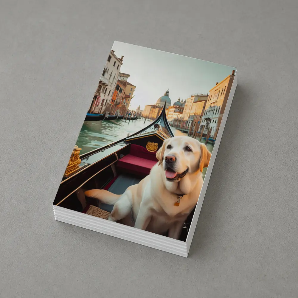 Labrador Retriever Riding Gondola Venice Canal – Postcards