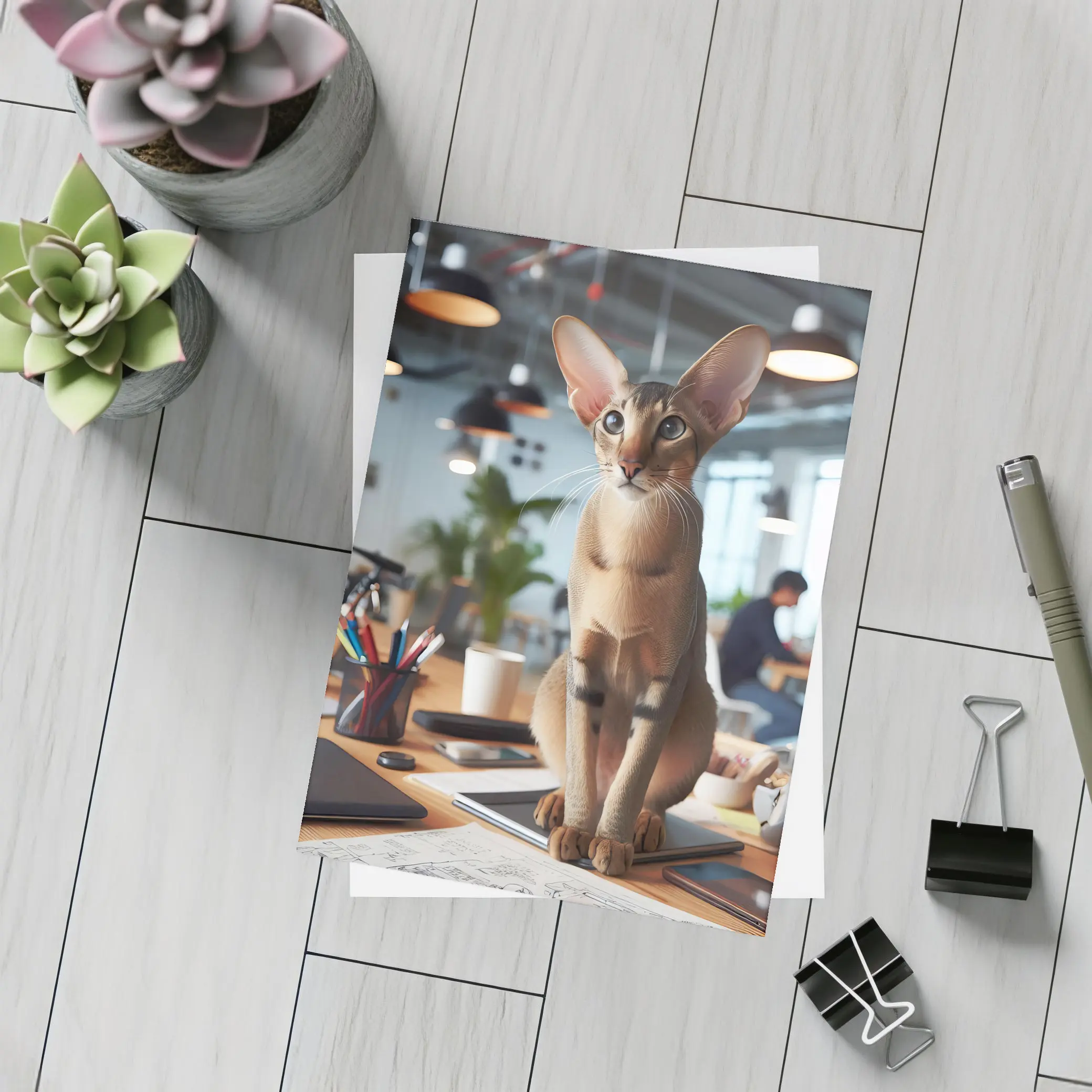 Abyssinian Cat Sitting on Office Desk – Postcards