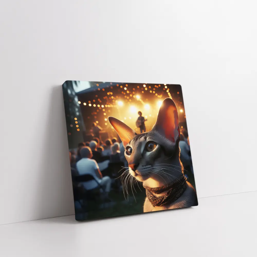 Oriental Shorthair Cat Outdoor Concert Night – Wall Art